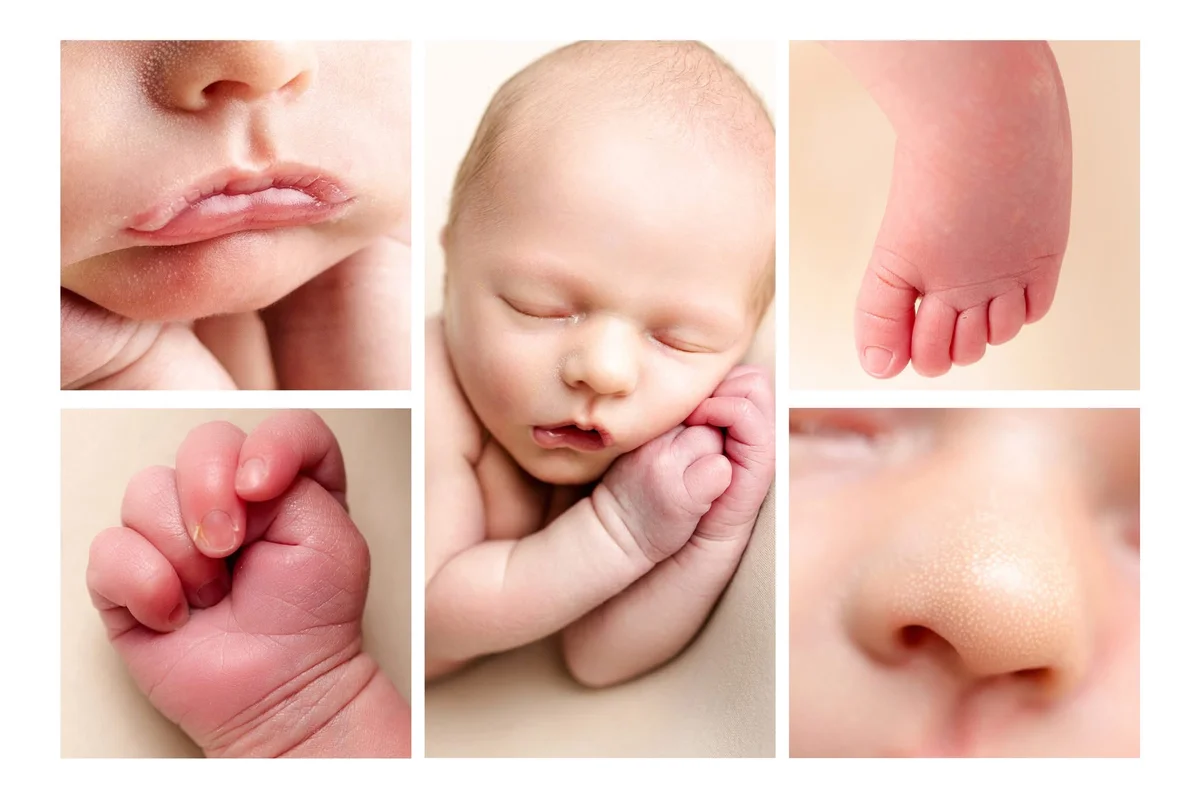 Collage of newborn detail shots showing tiny lips, hands, feet and nose, professional baby photography