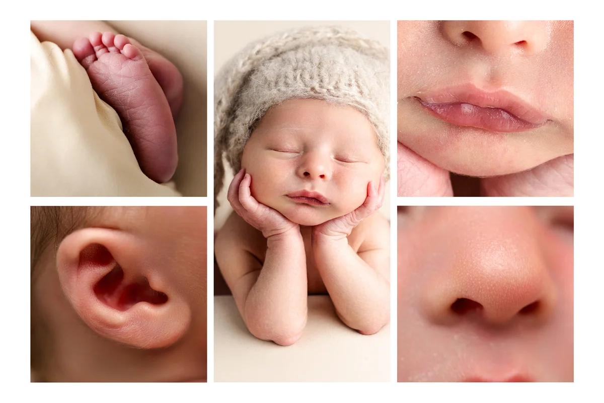Newborn baby collage photos Hartlepool photographer