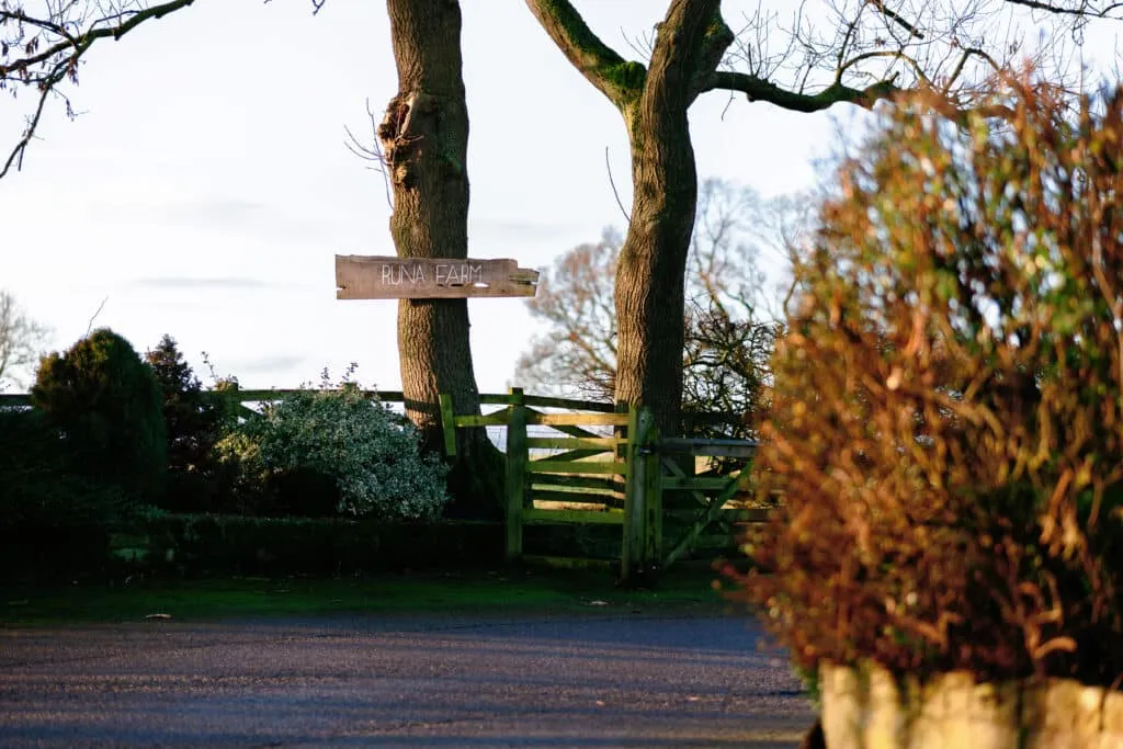 How to Choose a Wedding Photographer | SP Photography