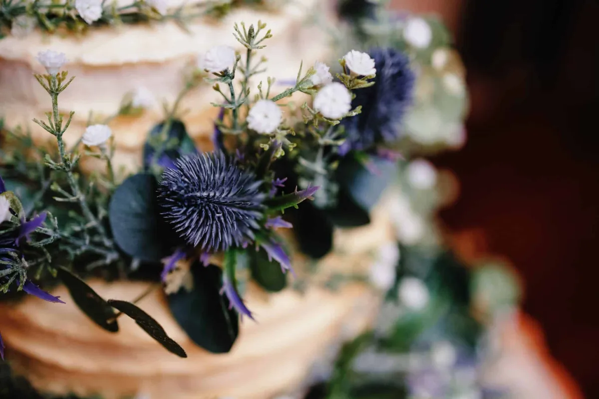 South Causey Inn wedding - rustic countryside wedding venue in County Durham