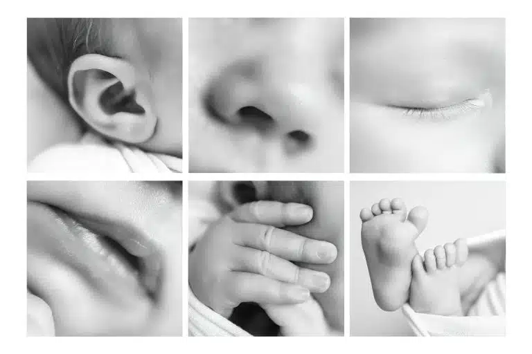 Newborn Photography Hartlepool